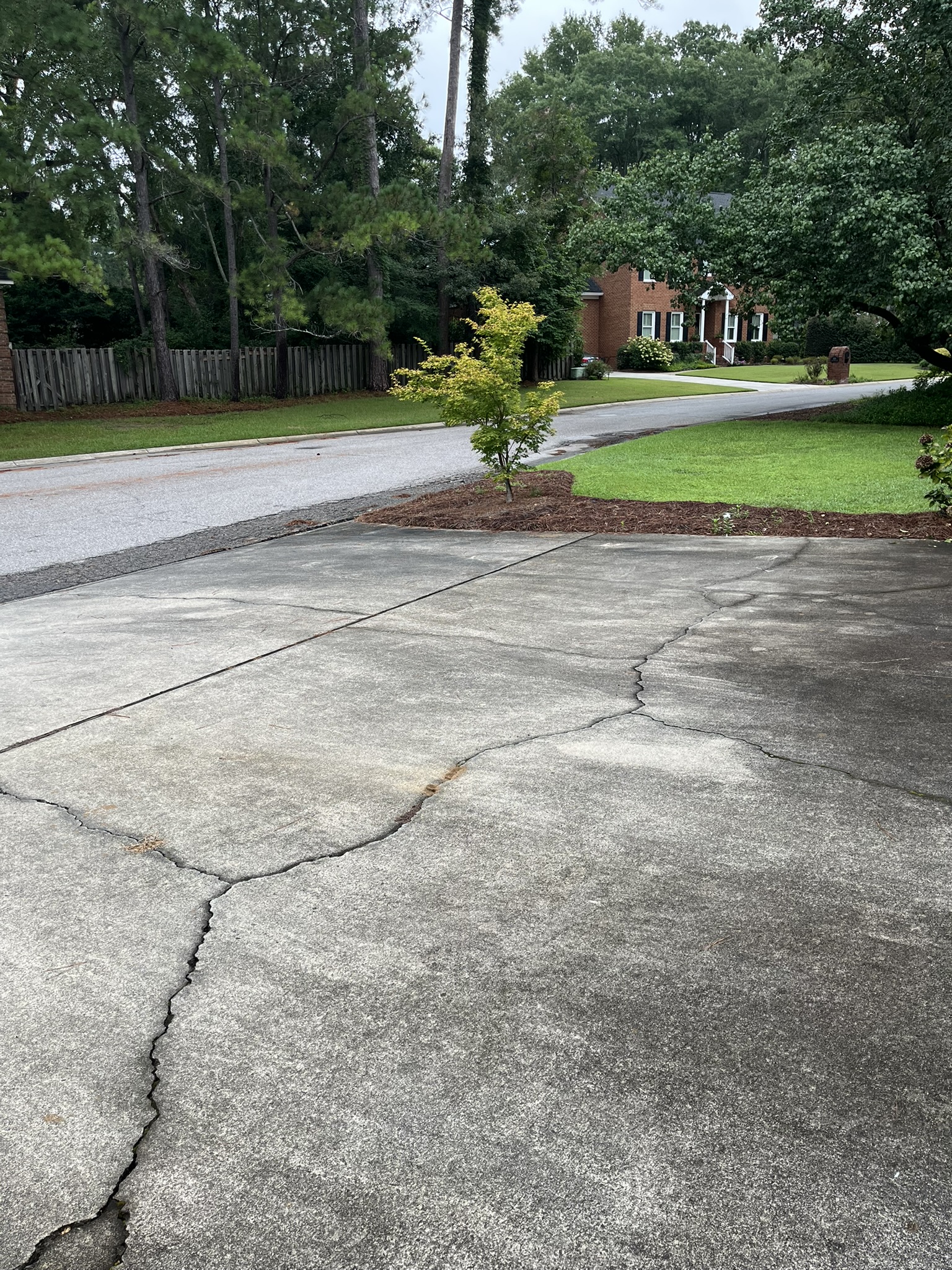 Driveway before pressure washing